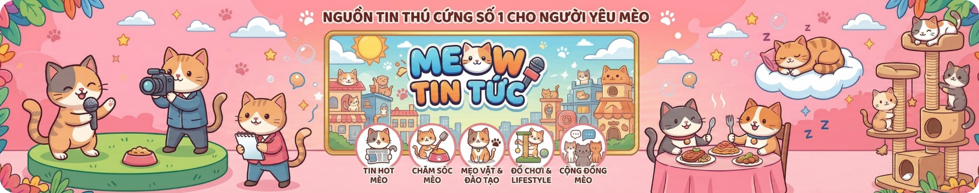 Trang Tin Về Mèo